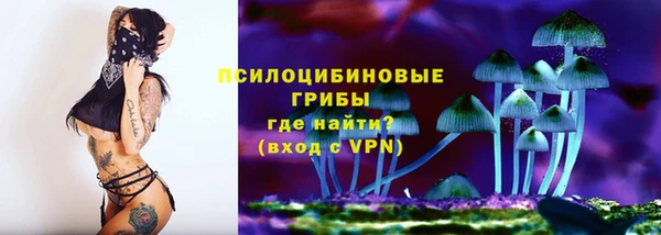 дживик Пестово