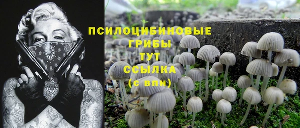 гидропоника Переславль-Залесский