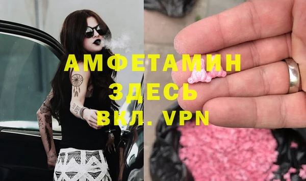 дживик Пестово