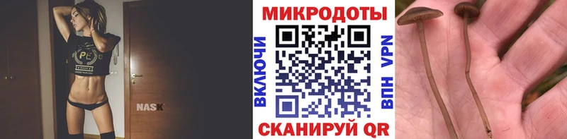 Галлюциногенные грибы прущие грибы  дарнет шоп  Бахчисарай 