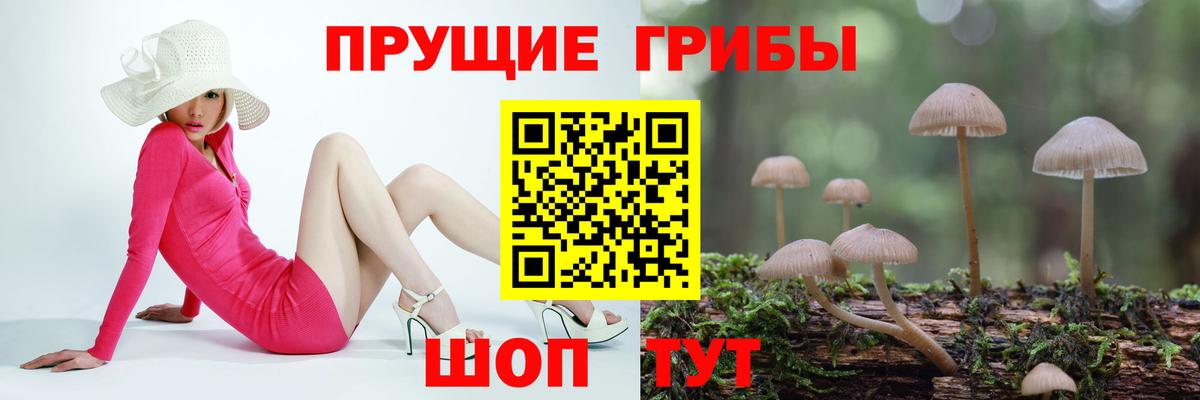 Галлюциногенные грибы Cubensis Бахчисарай
