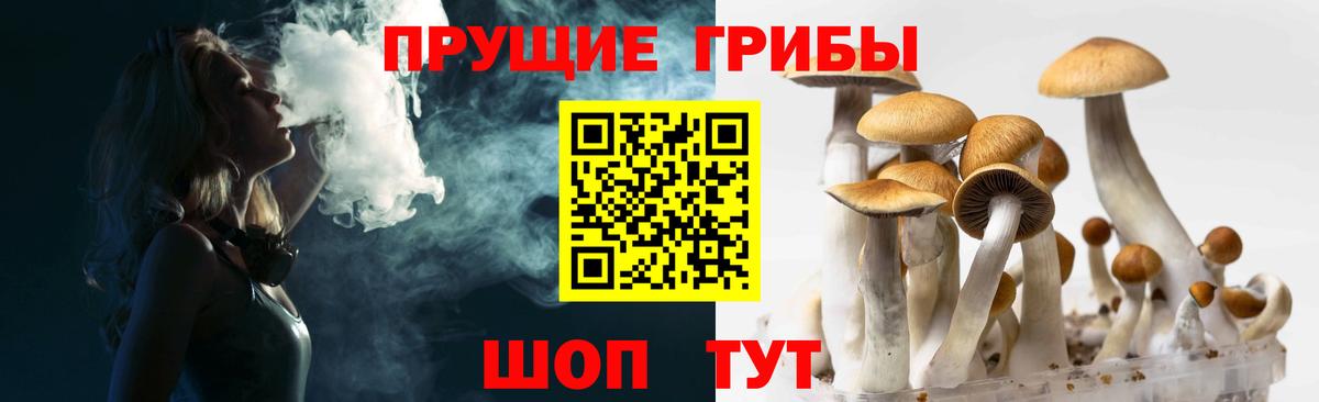 Псилоцибиновые грибы Cubensis  Галлюциногенные грибы GOLDEN TEACHER  Бахчисарай  цены наркотик  Вход с VPN 